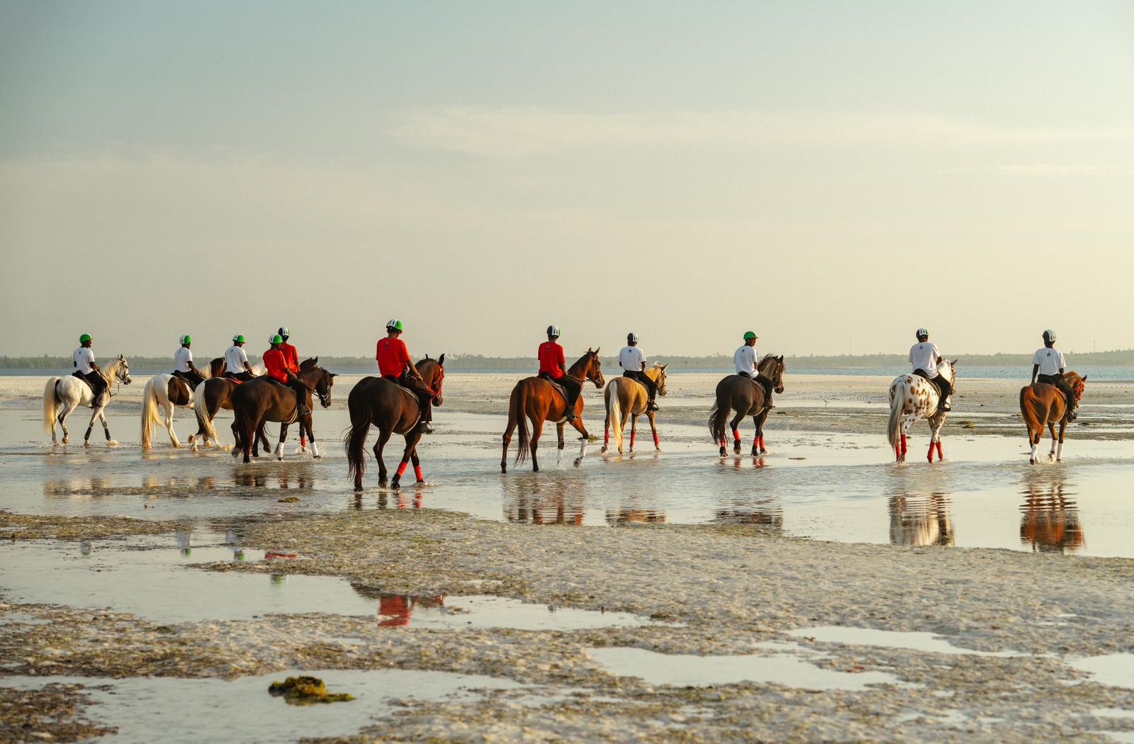 Plaża na Zanzibarze podczas odpływu